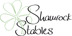 Shamrock Stables, Kierspe - Berkenbaum